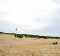 Theho Nest Dune