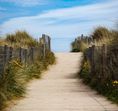 Theho Nest Dune