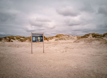 Theho Nest Dune