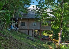Theho Nest Dune
