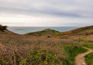 Theho Nest Dune