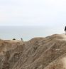 Theho Nest Dune