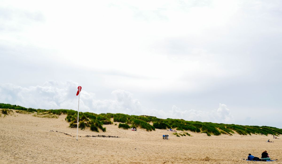 Theho Nest Dune