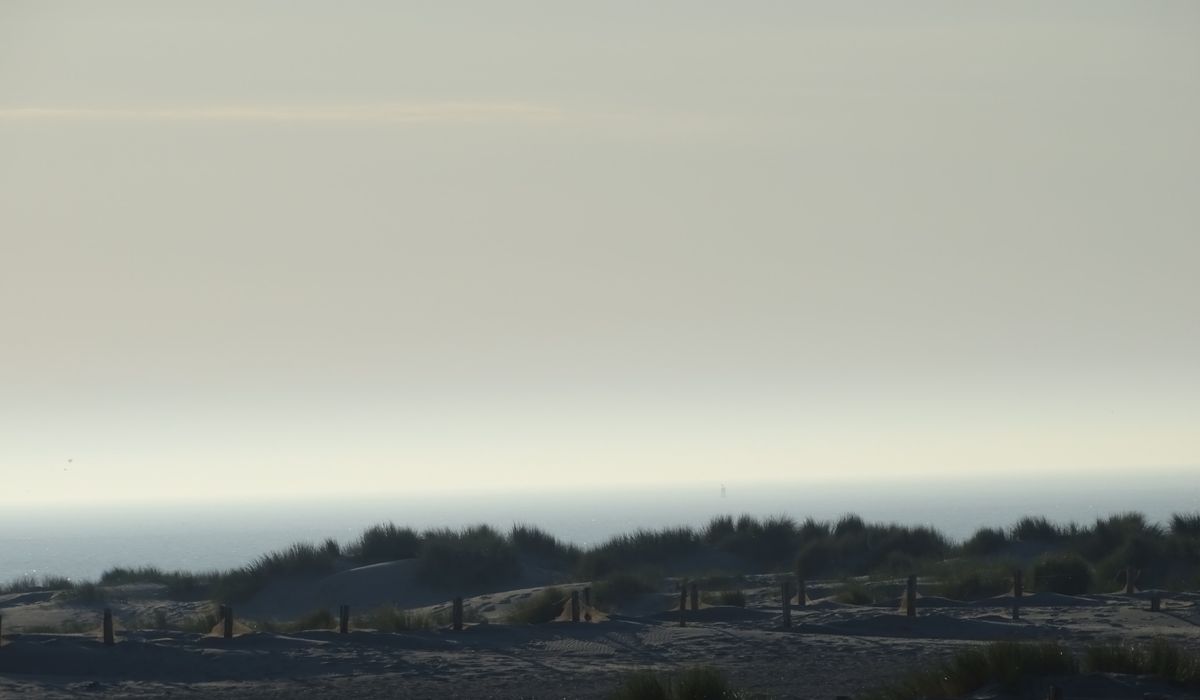 Theho Nest Dune