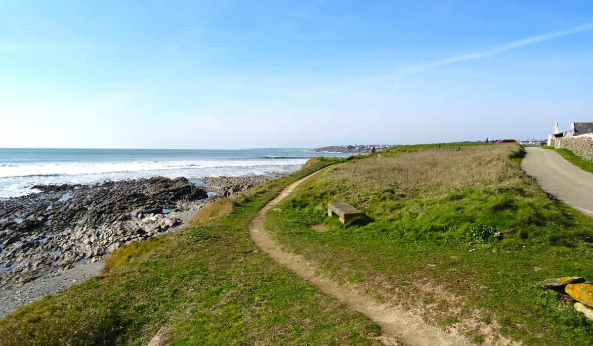 Theho Nest Dune