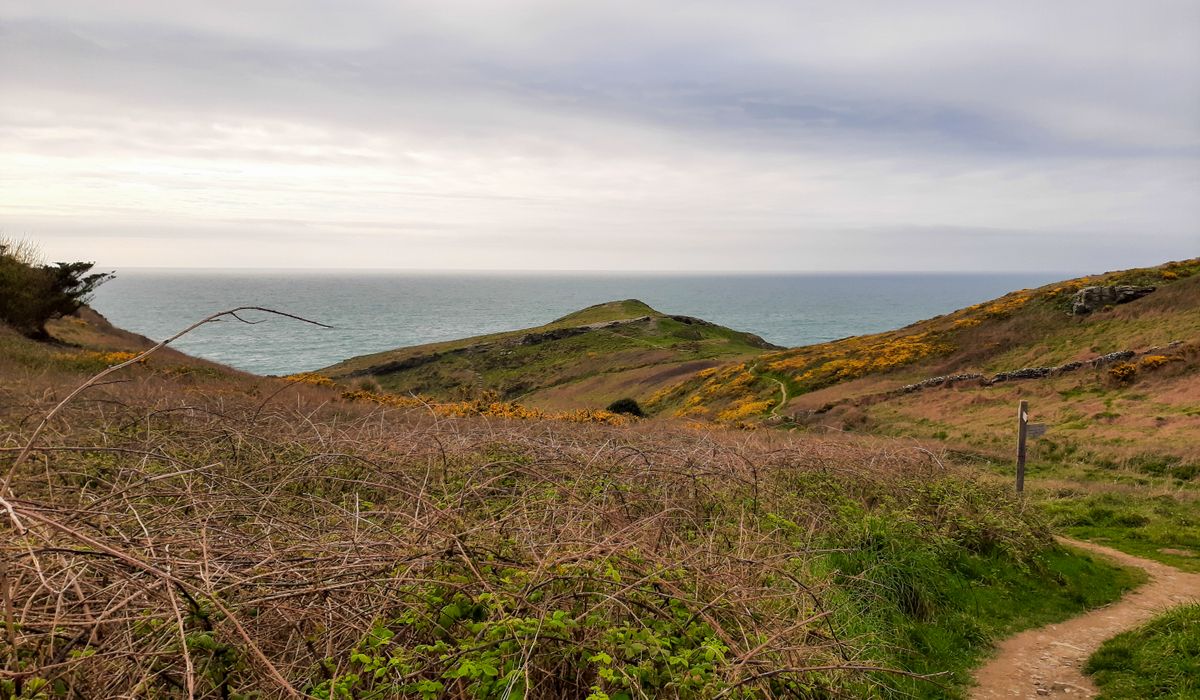 Theho Nest Dune