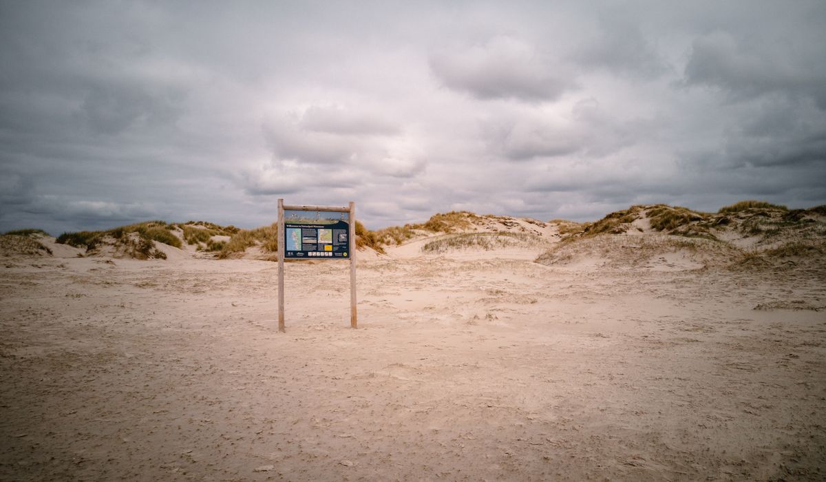 Theho Nest Dune